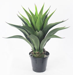 Agave Attenuata Artificial - Bouquet 60 Cm