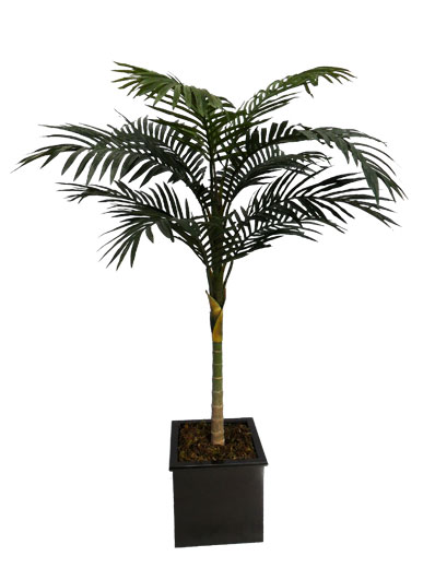 Palmeira Areca Artificial - Com 1,98 M De Altura